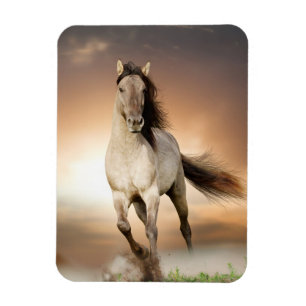 Wild Stallion Running In Sunset Magnet