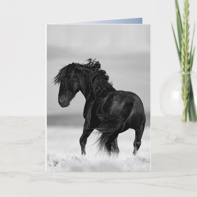 Wild Stallion Turns - Wild Horse Greeting Card (Front)