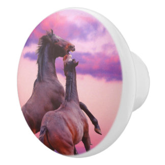 Wild Stallions rearing Ceramic Knob