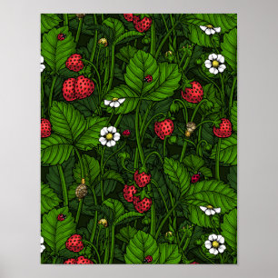 Wild strawberries poster