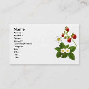 Wild Strawberries Profile Card