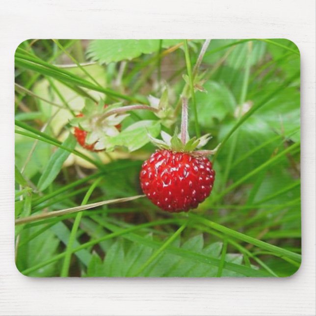 Wild Strawberry 1 Mouse Pad (Front)
