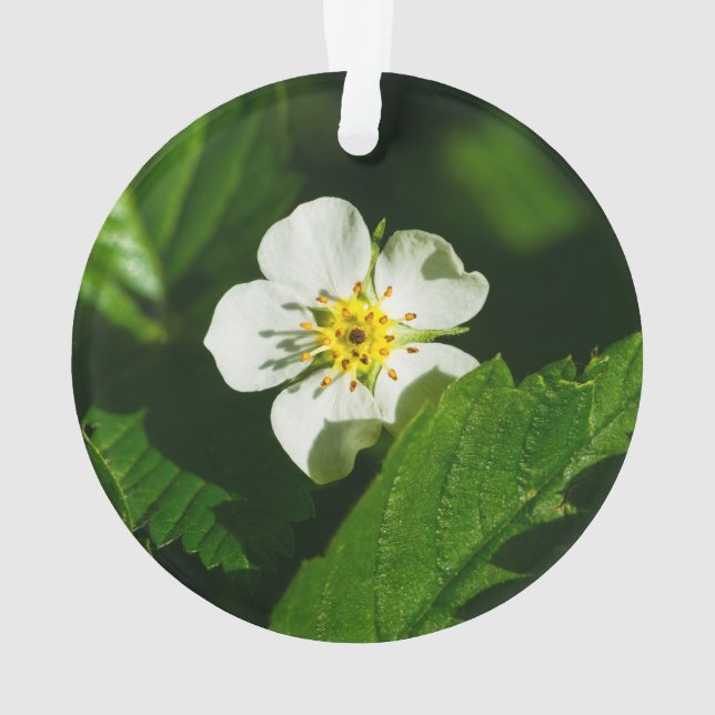 Wild Strawberry Flower Ornament (Back)