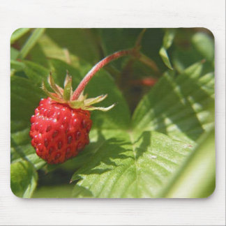 Wild Strawberry Mouse Pad