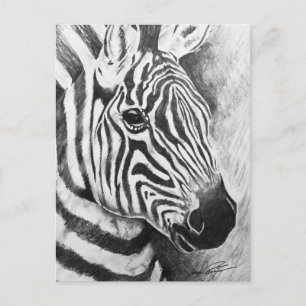 Wild Stripes Postcard