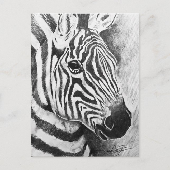 Wild Stripes Postcard (Front)