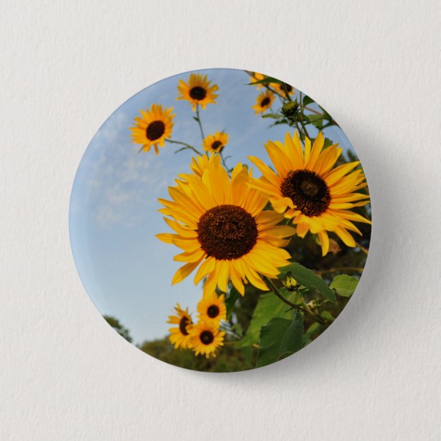 Wild Sunflowers 2 Inch Round Button (Front)