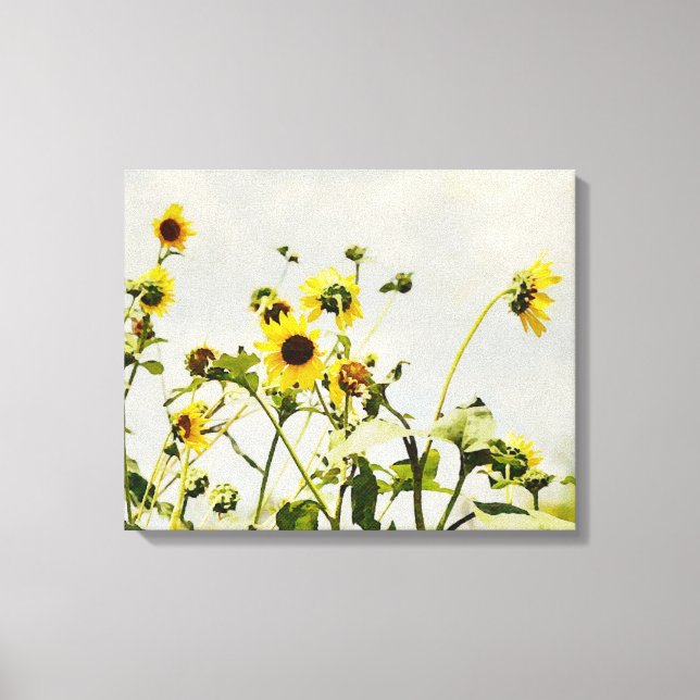 Wild Sunflowers and Grey Sky Art Canvas Print (Front)