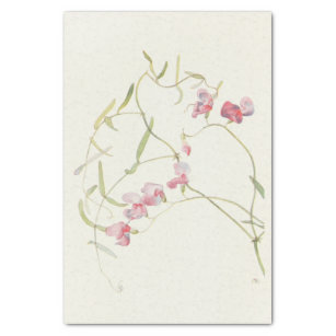 Wild Sweet Pea by Margaret Armstrong Tissue Paper