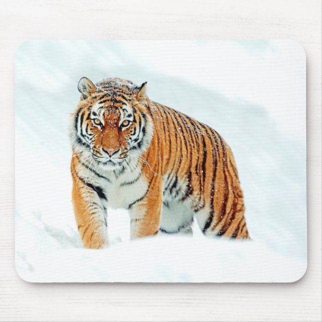 Wild Tiger in the Snow Mouse Pad (Front)