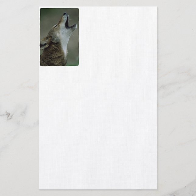 Wild Timber Wolf Howling Stationery (Front)