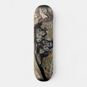 Wild Timber Wolf Twin Cubs in Den Skateboard