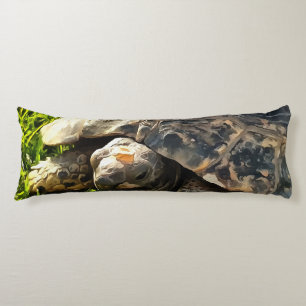 Wild Tortoise In Grass Meadow Wildlife Art Body Pillow