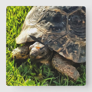 Wild Tortoise In Grass Meadow Wildlife Art Square Wall Clock