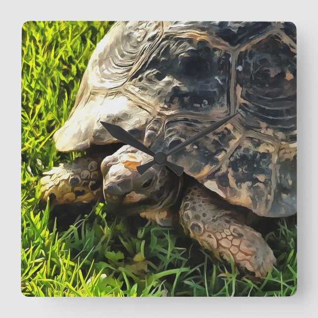 Wild Tortoise In Grass Meadow Wildlife Art Square Wall Clock (Front)