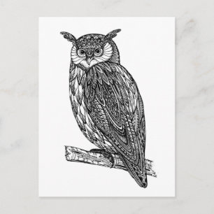 Wild Totem Animal Owl Doodle Postcard