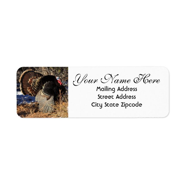 Wild Turkey Adresse de retour (Devant)