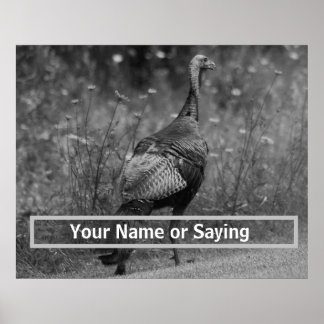 Wild Turkey B&W photo Poster