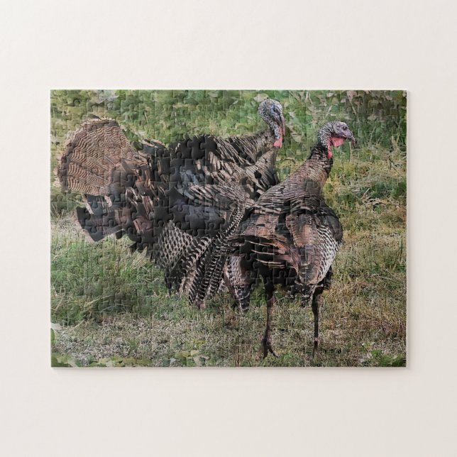 Wild Turkey Before The Fight Jigsaw Puzzle (Horizontal)