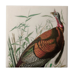 Wild Turkey Birds of America Audubon Print Tile