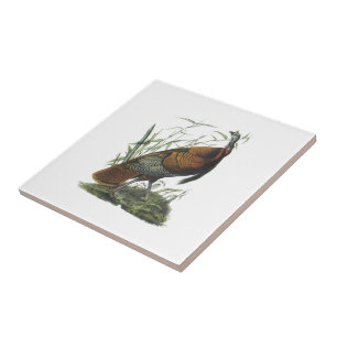 Wild Turkey by Audubon Tile