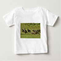 Wild Turkey, Camouflage colours