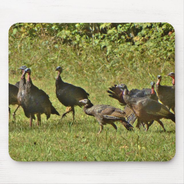 Wild Turkey, Camouflage colours Mouse Pad (Front)