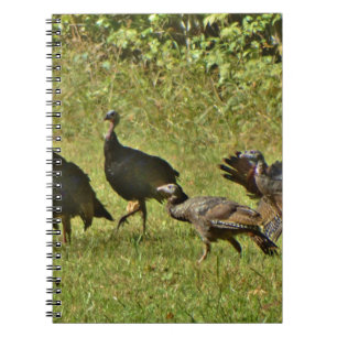 Wild Turkey, Camouflage colours Notebook