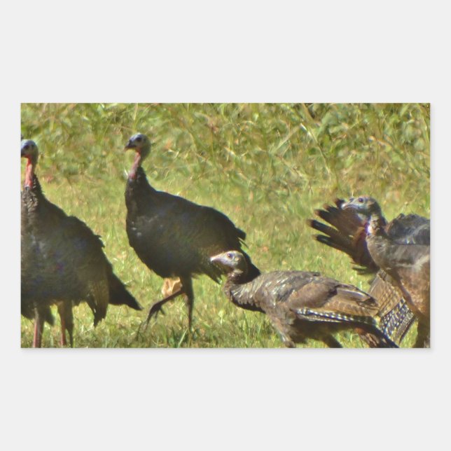Wild Turkey, Camouflage colours Sticker (Front)