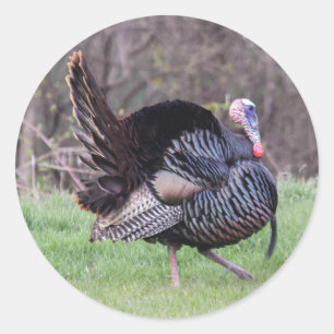 Wild Turkey Classic Round Sticker