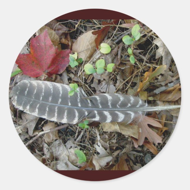 Wild Turkey Feather Stickers (Front)