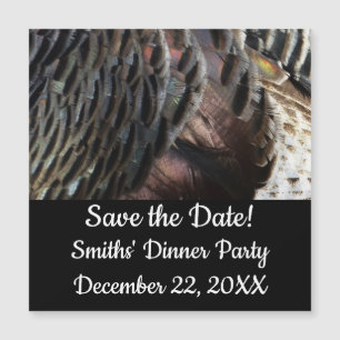 Wild Turkey Feathers I Abstract Nature Design