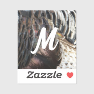 Wild Turkey Feathers I Abstract Nature Design