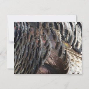 Wild Turkey Feathers I Abstract Nature Design Card
