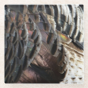 Wild Turkey Feathers I Abstract Nature Design Glass Coaster
