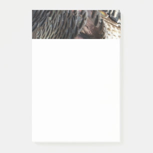 Wild Turkey Feathers I Abstract Nature Design Post-it Notes