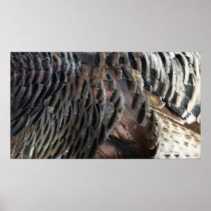 Wild Turkey Feathers I Abstract Nature Design Poster