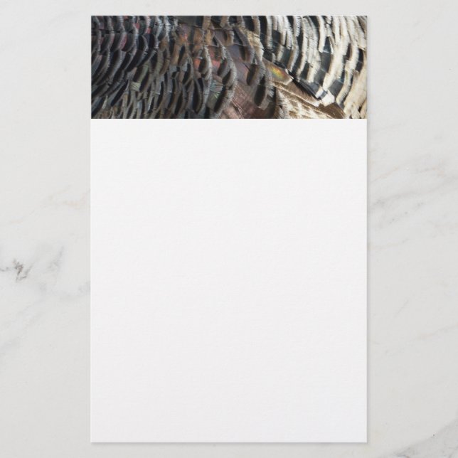 Wild Turkey Feathers I Abstract Nature Design Stationery (Front)