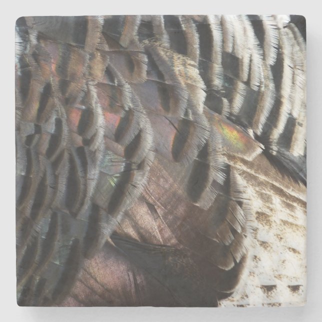 Wild Turkey Feathers I Abstract Nature Design Stone Coaster (Front)