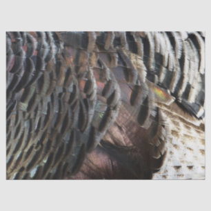 Wild Turkey Feathers I Abstract Nature Design Tissue Paper