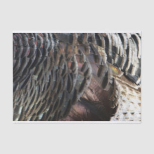 Wild Turkey Feathers I Abstract Nature Design Tissue Paper