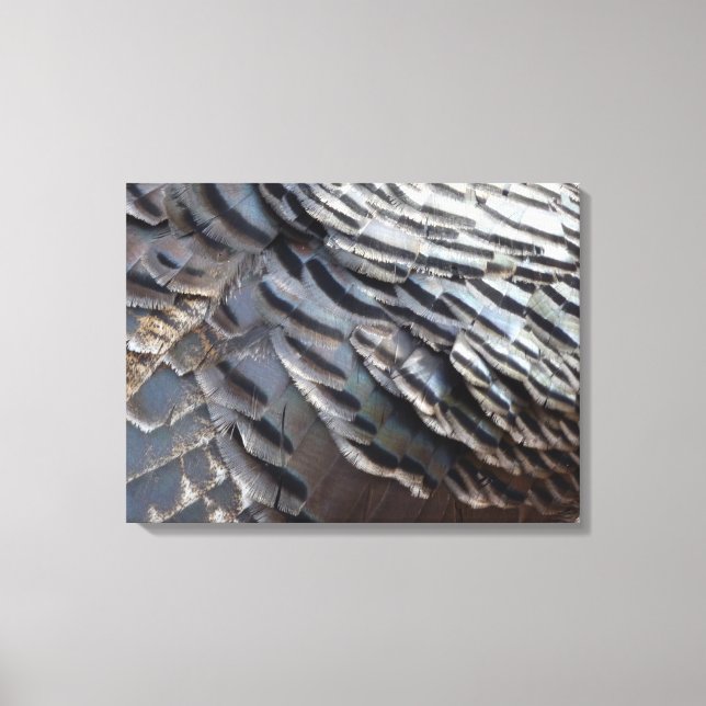 Wild Turkey Feathers II Abstract Nature Design Canvas Print (Front)