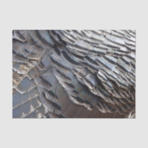 Wild Turkey Feathers II Abstract Nature Design Tissue Paper