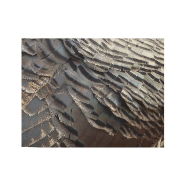 Wild Turkey Feathers II Abstract Nature Design Wood Poster (Front)