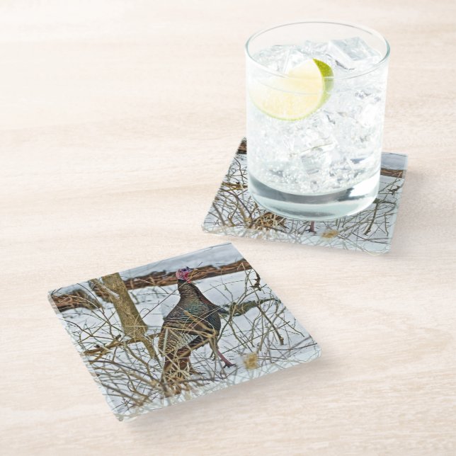 Wild Turkey Glass Coaster (Angled)