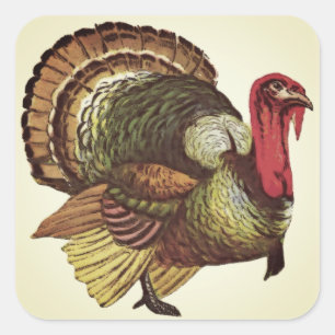 Wild Turkey Happy Thanksgiving Stickers