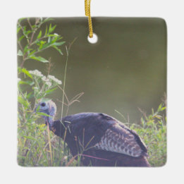 Wild Turkey Hiding in Grass Ornament