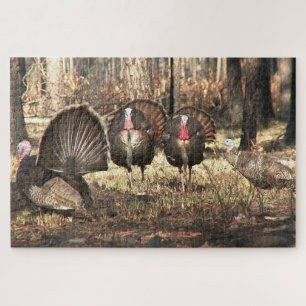 Wild Turkey In The Woods Bird Jigsaw Puzzle