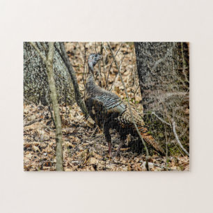 Wild Turkey in Woods Photo Puzzle with Gift Box