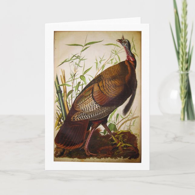 Wild Turkey, John James Audubon Card (Front)